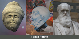 I am a potato